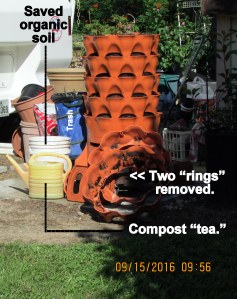 Garden Tower in the sunshine