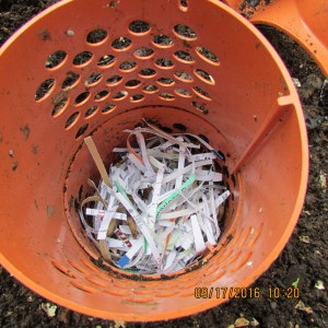 Shredded paper added