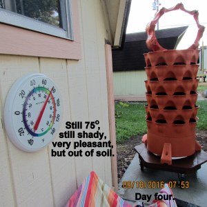 Still seventy-five but out of soil