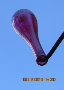 Red-pink vase for bottle tree