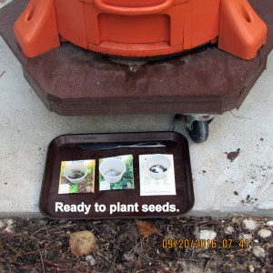Ready to plant seeds