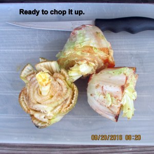 Ready to chop kitchen scraps
