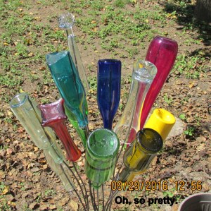 Bottle Bush bottles close up