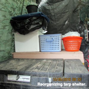 Reorganizing tarp shelter (1)