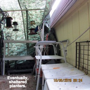 Reorganizing tarp shelter (4)