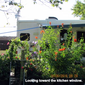 Looking toward kitchen window from the North