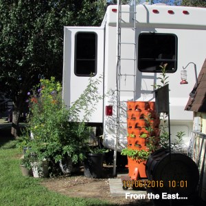 Looking toward kitchen window from the East