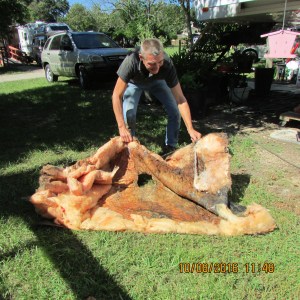 All that wet insultion