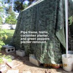 Removed planters on west side