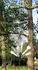 Sparkling bottles in morning sunshine