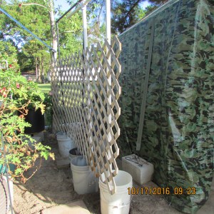 Trellis attached