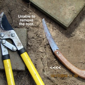 Unable to remove the root