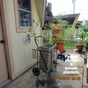 Pepper and tomato planters