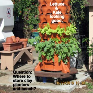 Where to move clay planters and bench