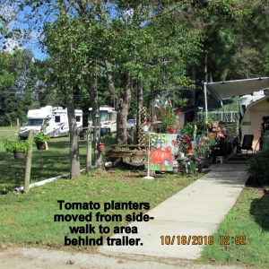 Tomato planters moved