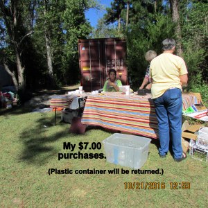 Seven dollar purchase