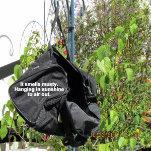 Airing the black bag