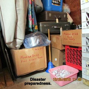 Disaster preparedness (1)
