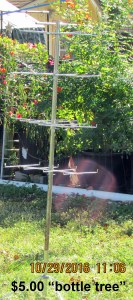 Bottle tree close up