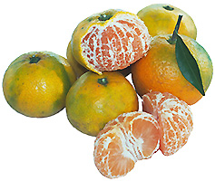 satsuma-citrus-fruit-and-segments