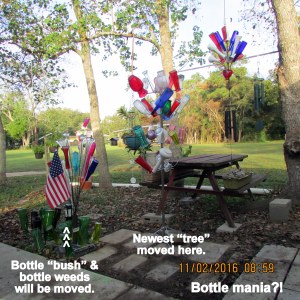 Bottle mania explained