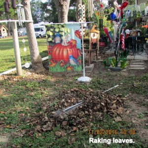 Raking leaves