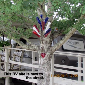 This RV site is close to the street