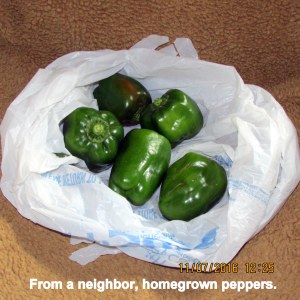 Neighbor gave me peppers