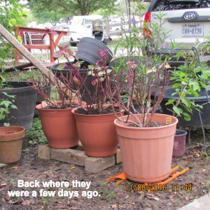 Back where they were a few days ago