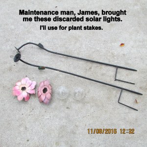 Altered solar plant stakes