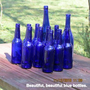 Beautiful blue bottles