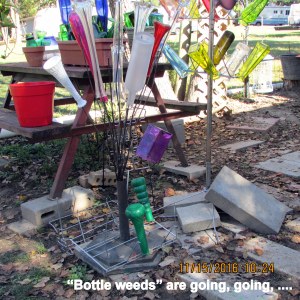 Removed bottle weeds
