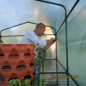 Roger inside securing cover to framework