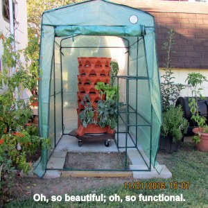Greenhouse completely assembled