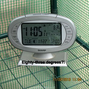 Temperature inside greenhouse