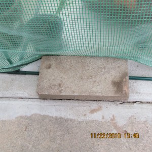 Cement block on north side of greenhouse