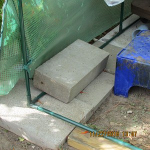 Cement block on west side of greenhouse