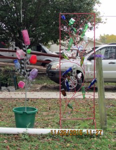 New bottle display (3)