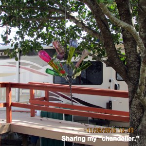 Chandelier in my neighbor's yard (2)