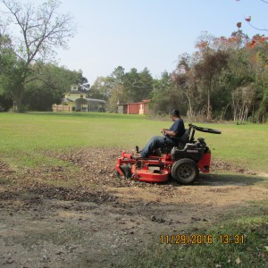 James' destroying the pile of leaves