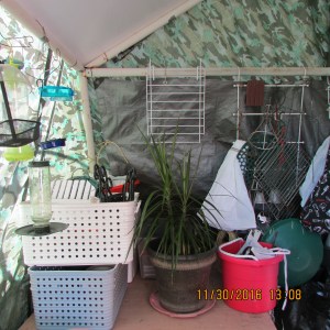 Another planter under cover