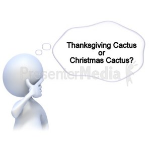 White stick figure with comment Thanksgiving or Christmas Cactus