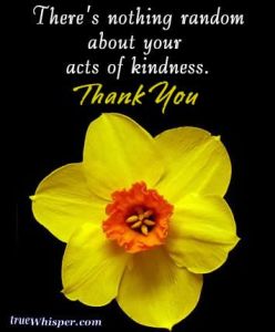 Acts-of-kindness-thank-you