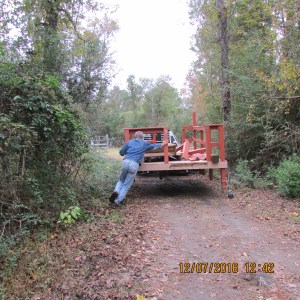 Headed for the graveyard