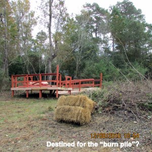 Destined for the burn pile?