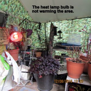 Heat lamp is not warming the tarp shelter