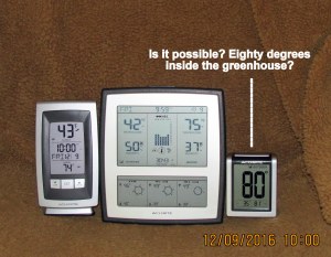 My thermometers at ten AM