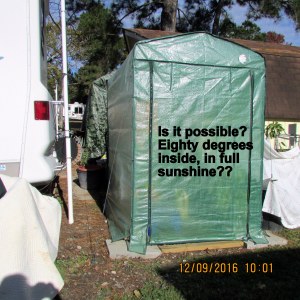 Temperature in greenhouse