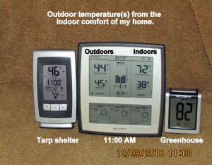 My thermometers at eleven AM
