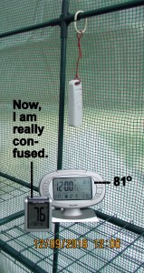 Temperature in greenhouse at twelve noon